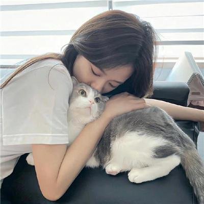 上海快车